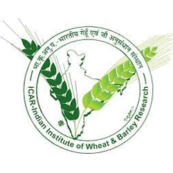 ICAR-Indian Institute of Wheat and Barley Research Haryana