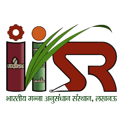 ICAR-Indian Institute of Sugarcane Research Uttar Pradesh